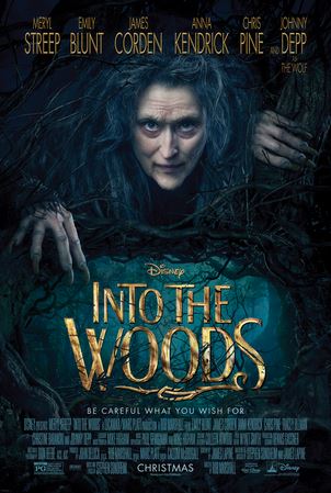 similar movies like Into the Woods 2014