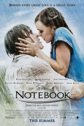 similar movies like It Ends With Us 2024 featuring The Notebook 2004